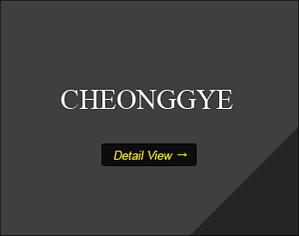 Cheonggye Cheon
