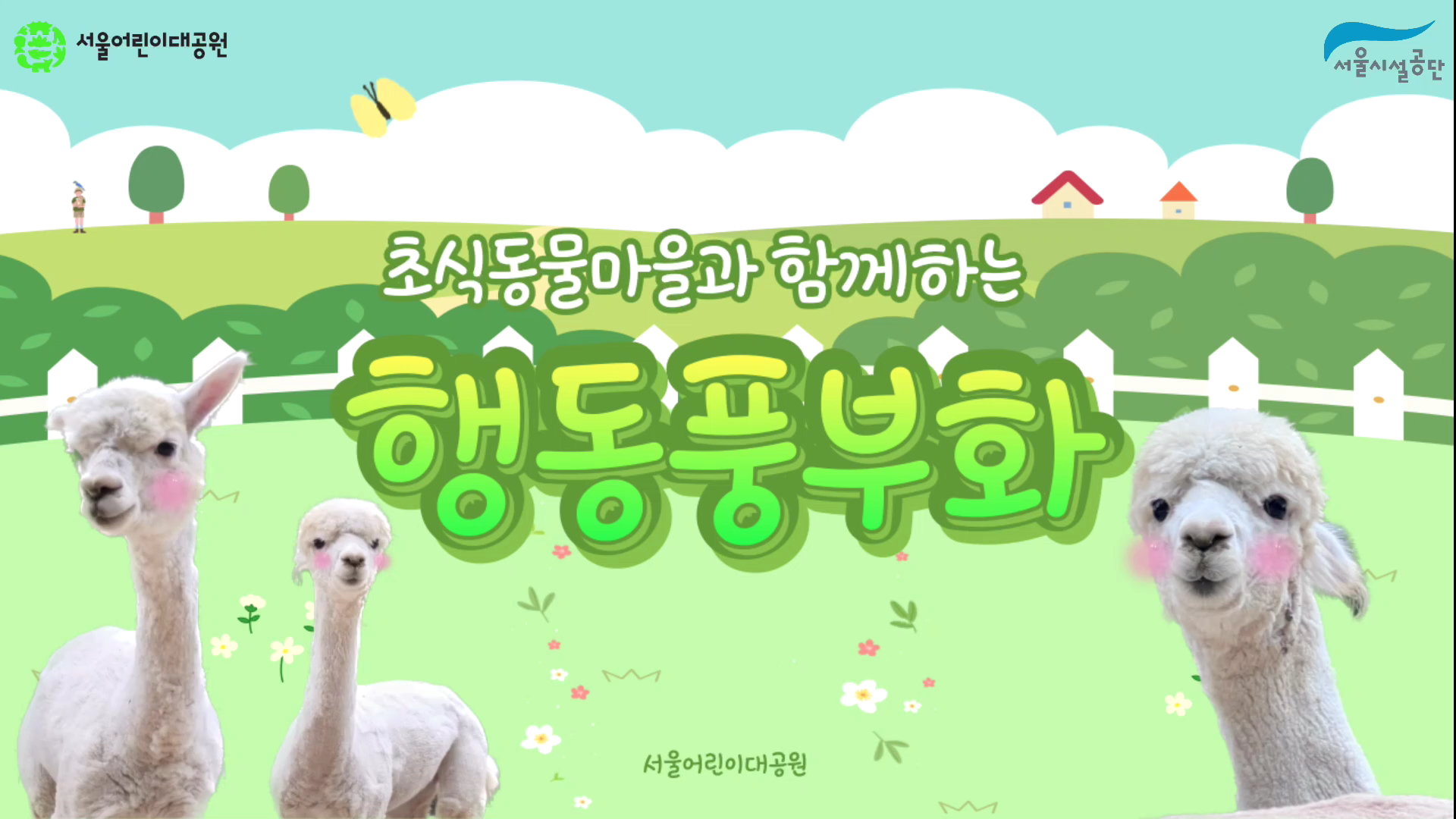 서울어린이대공원 동물원 알파카 행동풍부화 사진