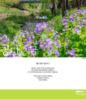 [공단은 지금] 봄이 왔나 봅니다 - 서울어린이대공원 청계천 봄풍경 사진