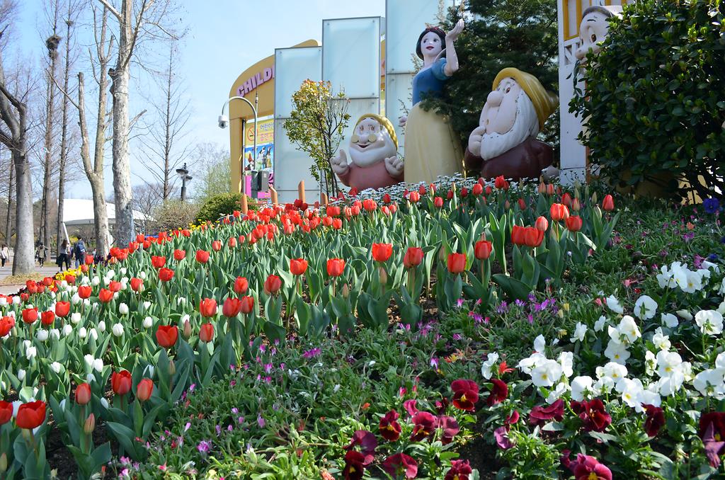 어린이대공원 튤립 및 봄꽃 사진