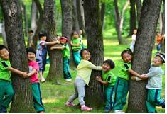 어린이 숲 체험
