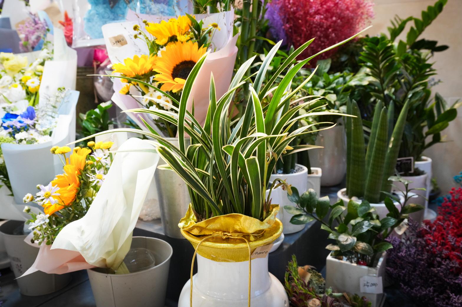 삼성플라워 상품2