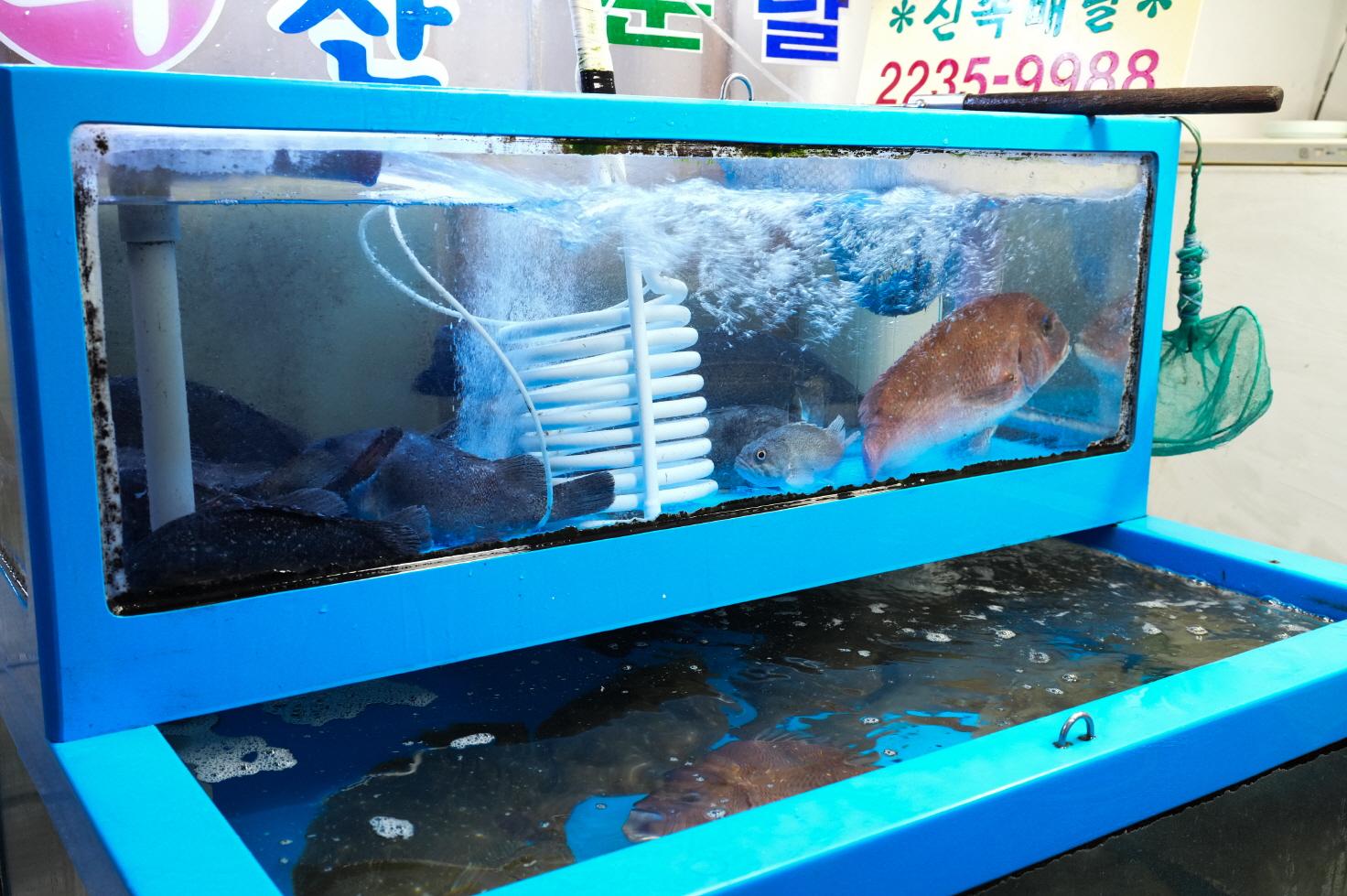 88수산 상품2