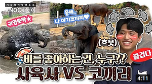 [영상] 동물원 여름나기 생생 현장 스케치!(기상청 유튜브) 사진
