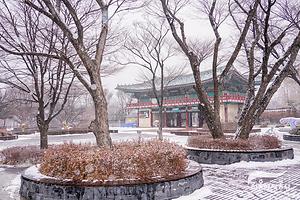 서울어린이대공원, 겨울 눈꽃 산책 사진