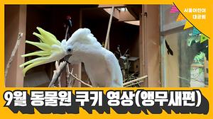 [동물원 쿠키영상] 9월 앵무새편 사진