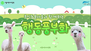 서울어린이대공원 동물원 알파카 행동풍부화 사진