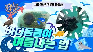 [오늘의 ZOO] 8월 바다동물관(여름맞이 3탄) 사진