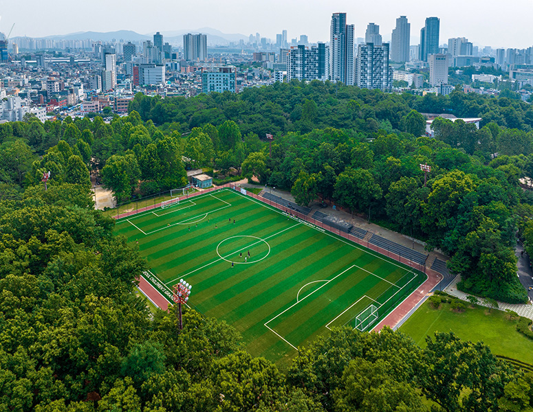 축구장(인조잔디) 사진 2