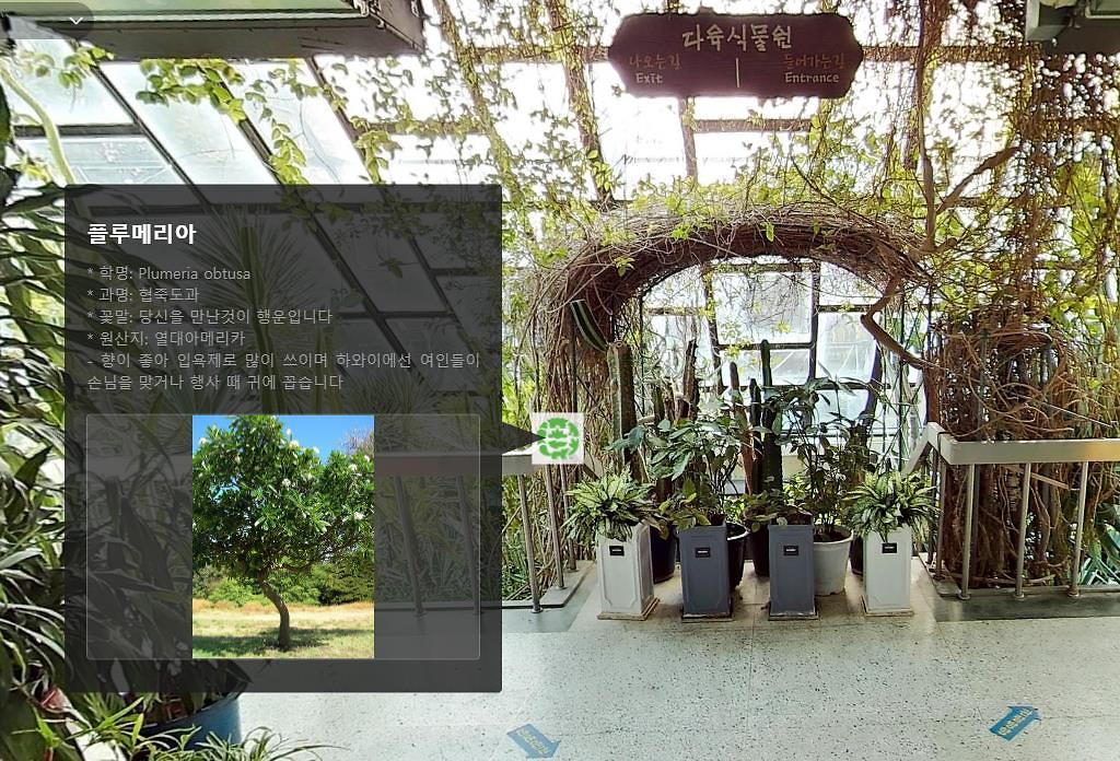 VR식물원 다육 식물 설명